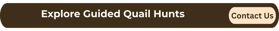 CTA - Expplore Guided Quail Hunt