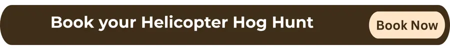 CTA - Book Your Helicopter Hog Hunt
