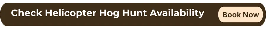 CTA - Helicopter Hog Hunting