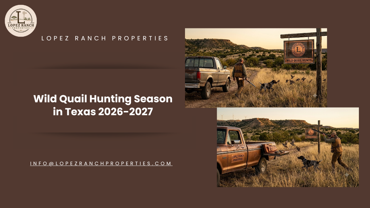 Texas Hunting Season 2026-2027