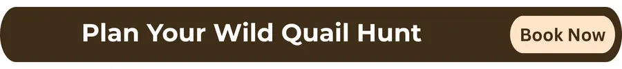 CTA - Plan Your Wild Quail Hunt